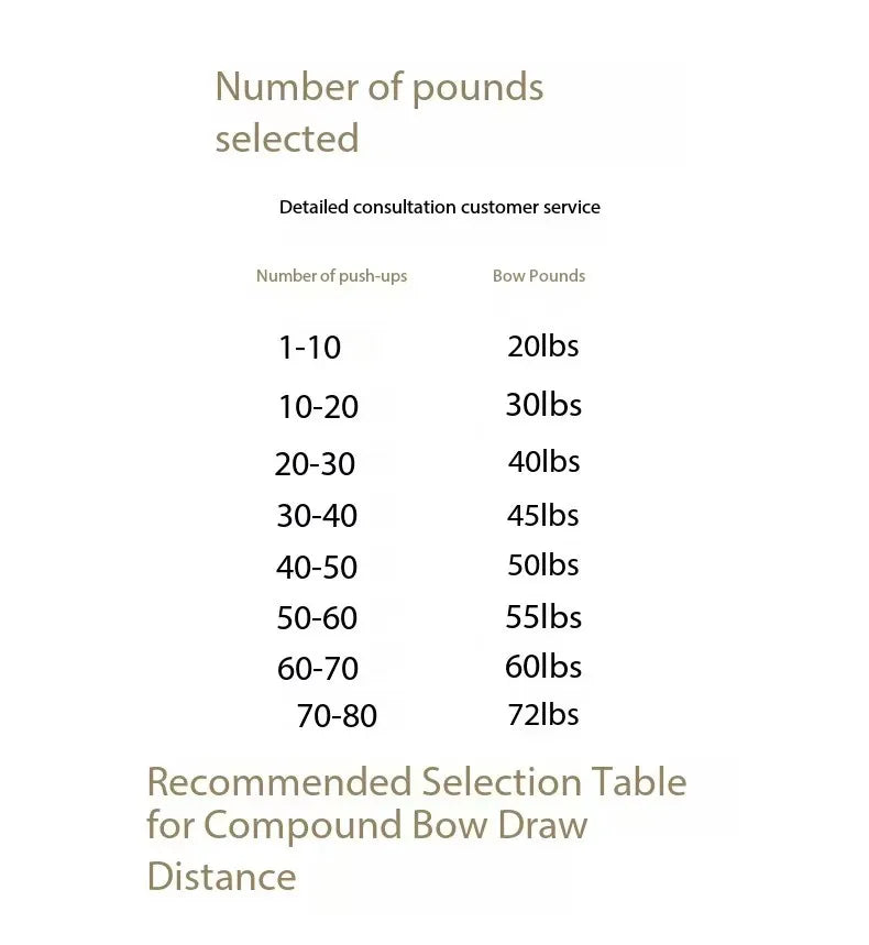 Dual Purpose Steel Ball Composite Bow and Arrow, Adult High-Precision Slingshot